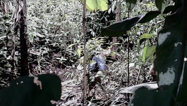 Polícia Civil elucida dois homicídios em Rio Branco